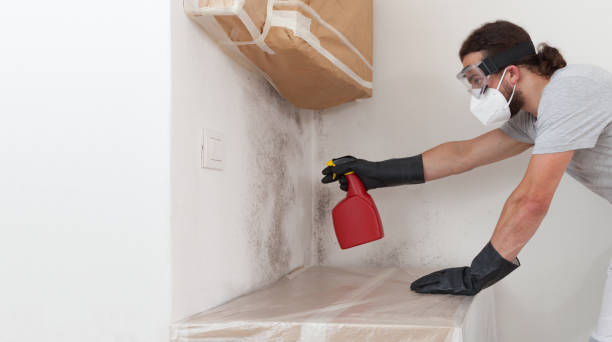 Professional Attic Mold Removal technician working in Long Lake, MN